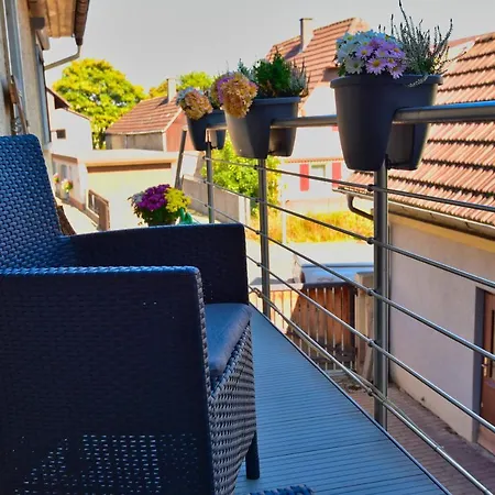 Ferienwohnung Tajo -Familienfreundlich Naehe Europapark Apartment
